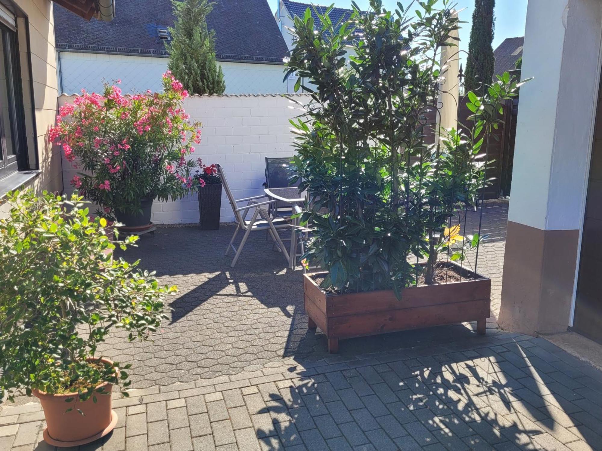 Eifelferienhaus Thome Lissendorf Экстерьер фото